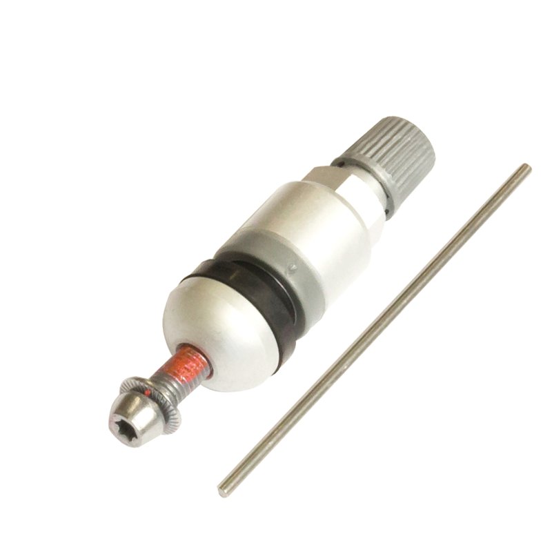 Replacement Valves for 65731, pack of 10
