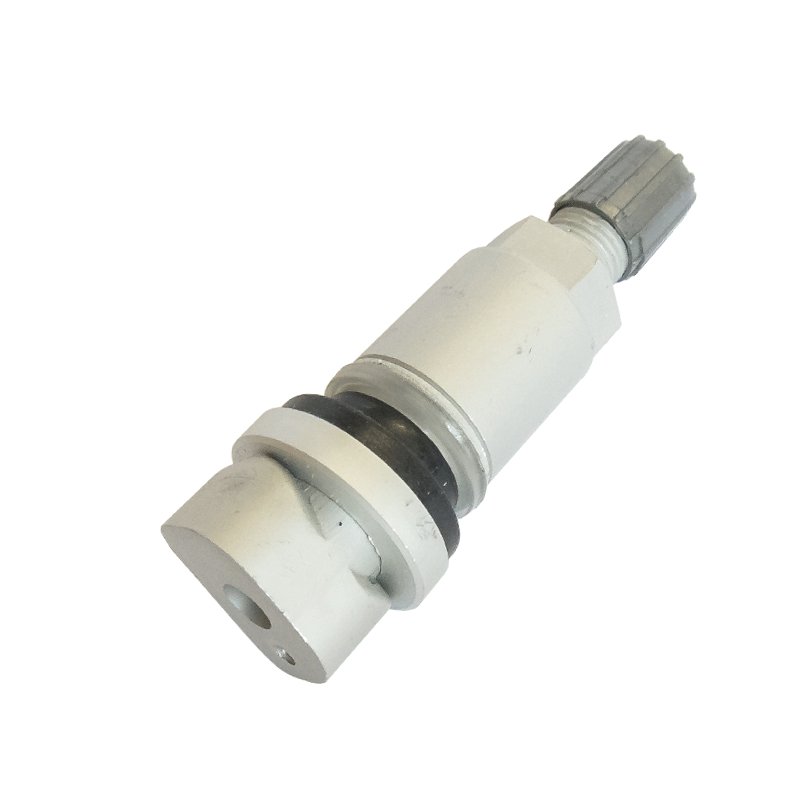Replacement Valves for TG1B, pack of 10