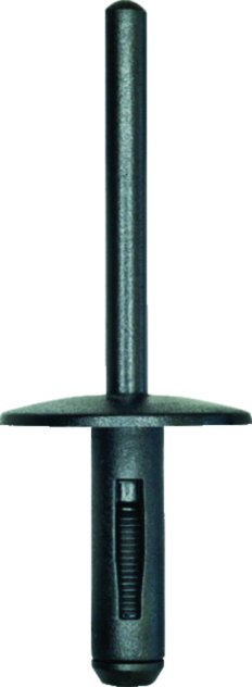 Plastic Rivet Bmw, pack of 25