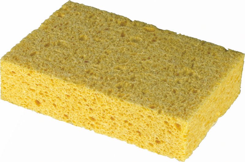 Cellulose Sponge