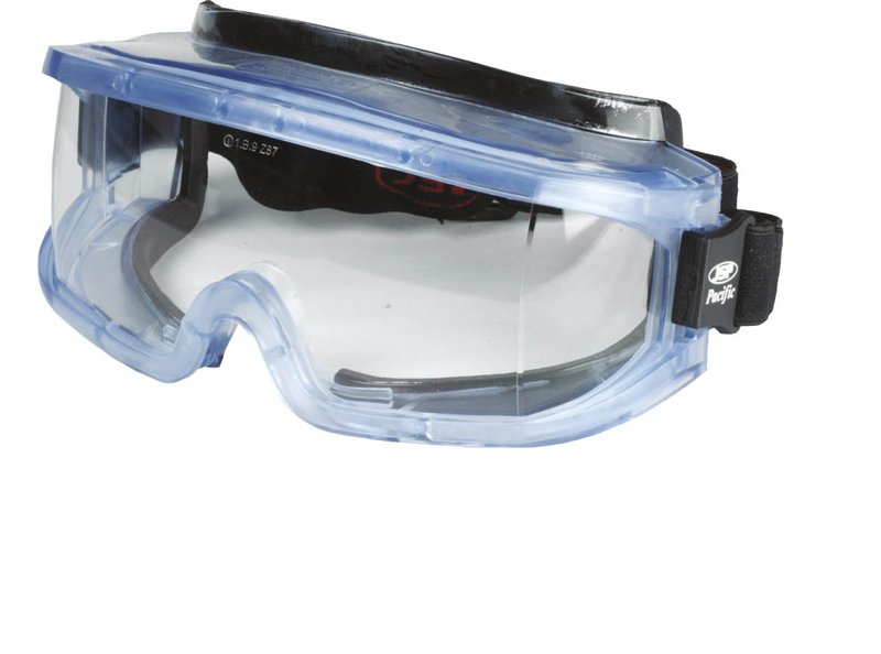 Pacific Ski Glasses