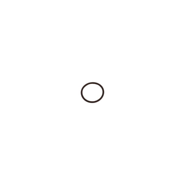 O RING TO SUIT IVECO (GENUINE)